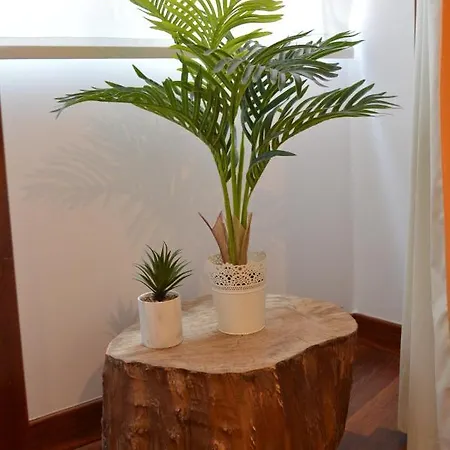 Apartamento En Ciudad Vieja De *